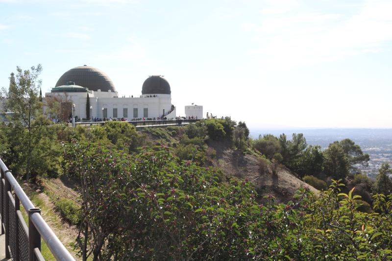 Illustration for article titled Griffith Park Photodump